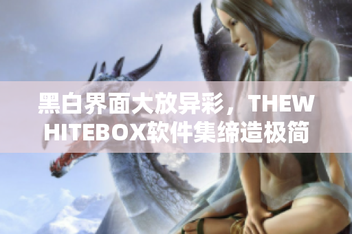 黑白界面大放异彩，THEWHITEBOX软件集缔造极简美感界面！