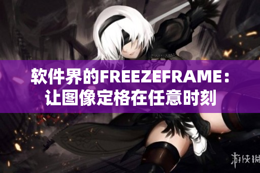 软件界的FREEZEFRAME：让图像定格在任意时刻