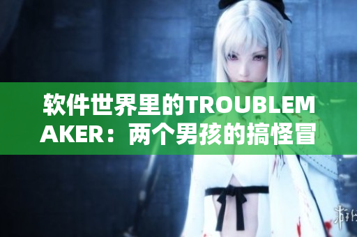 软件世界里的TROUBLEMAKER：两个男孩的搞怪冒险