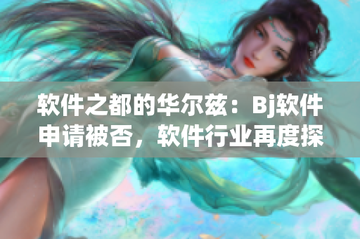 软件之都的华尔兹：Bj软件申请被否，软件行业再度探讨未来