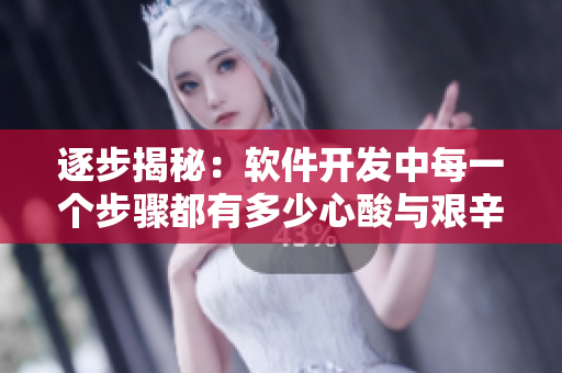 逐步揭秘：软件开发中每一个步骤都有多少心酸与艰辛