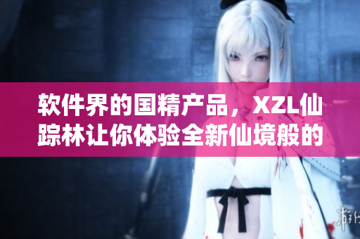 软件界的国精产品，XZL仙踪林让你体验全新仙境般的界面
