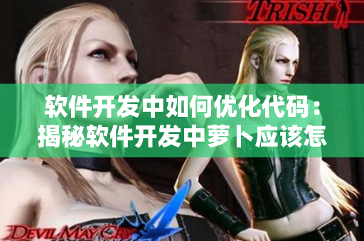 软件开发中如何优化代码：揭秘软件开发中萝卜应该怎么拔