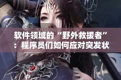 软件领域的“野外救援者”：程序员们如何应对突发状况