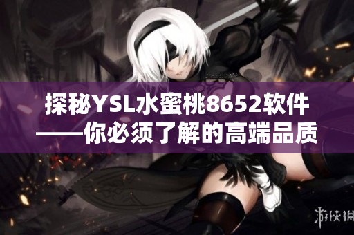 探秘YSL水蜜桃8652软件——你必须了解的高端品质软件