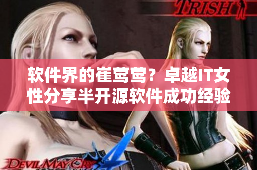 软件界的崔莺莺？卓越IT女性分享半开源软件成功经验