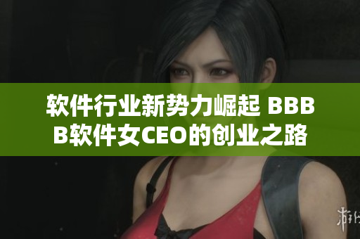 软件行业新势力崛起 BBBB软件女CEO的创业之路