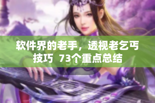 软件界的老手，透视老乞丐技巧  73个重点总结