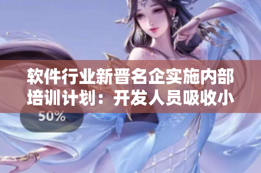 软件行业新晋名企实施内部培训计划：开发人员吸收小鲜肉