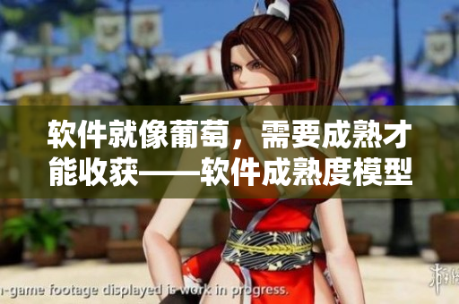 软件就像葡萄，需要成熟才能收获——软件成熟度模型及其重要性