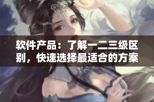 软件产品：了解一二三级区别，快速选择最适合的方案
