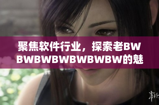 聚焦软件行业，探索老BWBWBWBWBWBWBW的魅力新境界