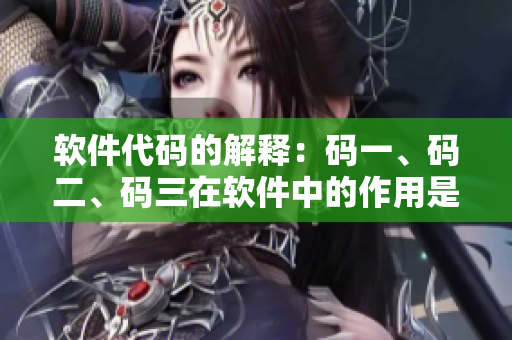 软件代码的解释：码一、码二、码三在软件中的作用是什么？
