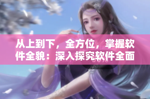 从上到下，全方位，掌握软件全貌：深入探究软件全面特性的终极指南