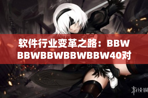 软件行业变革之路：BBWBBWBBWBBWBBW40对软件开发的影响