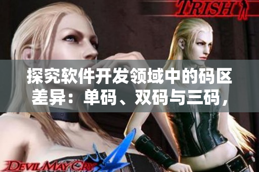 探究软件开发领域中的码区差异：单码、双码与三码，你了解多少？