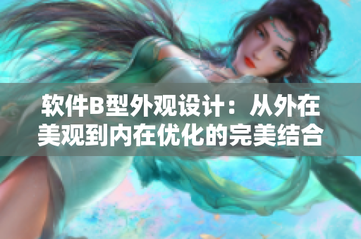 软件B型外观设计：从外在美观到内在优化的完美结合