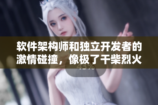 软件架构师和独立开发者的激情碰撞，像极了干柴烈火！