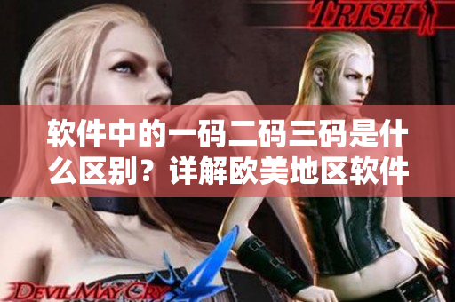 软件中的一码二码三码是什么区别？详解欧美地区软件编码规范