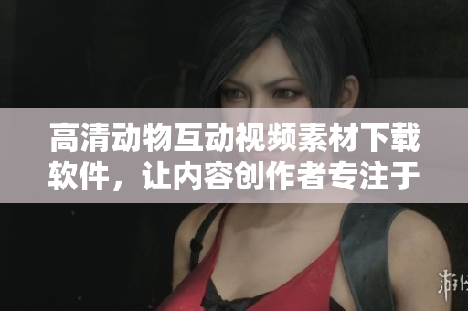 高清动物互动视频素材下载软件，让内容创作者专注于创作！