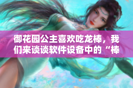 御花园公主喜欢吃龙棒，我们来谈谈软件设备中的“棒”是什么？