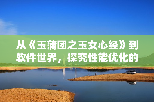 从《玉蒲团之玉女心经》到软件世界，探究性能优化的重要性！