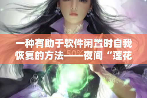 一种有助于软件闲置时自我恢复的方法——夜间“莲花开放”技巧