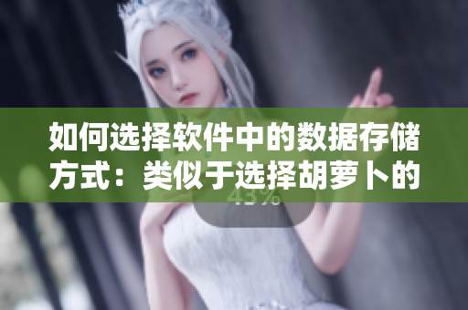 如何选择软件中的数据存储方式：类似于选择胡萝卜的大头还是小头