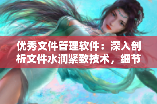 优秀文件管理软件：深入剖析文件水润紧致技术，细节彰显销魂低吟