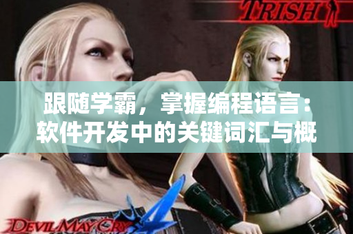 跟随学霸，掌握编程语言：软件开发中的关键词汇与概念