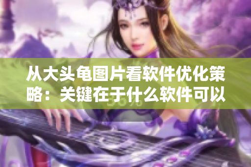 从大头龟图片看软件优化策略：关键在于什么软件可以做，什么软件不能做