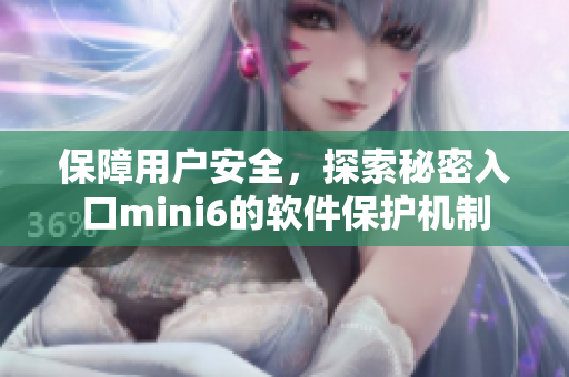 保障用户安全，探索秘密入口mini6的软件保护机制