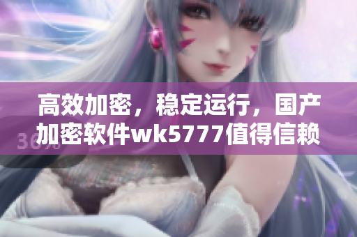 高效加密，稳定运行，国产加密软件wk5777值得信赖！