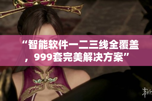 “智能软件一二三线全覆盖，999套完美解决方案”