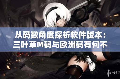 从码数角度探析软件版本：三叶草M码与欧洲码有何不同？