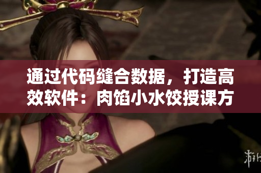 通过代码缝合数据，打造高效软件：肉馅小水饺授课方式解密