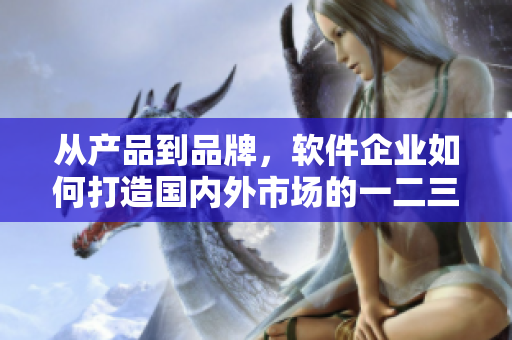 从产品到品牌，软件企业如何打造国内外市场的一二三步