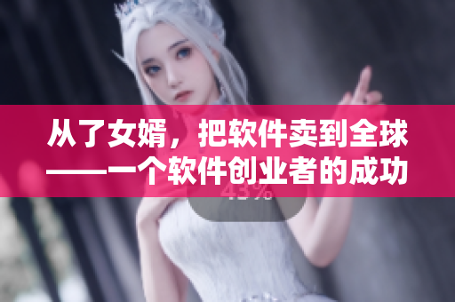 从了女婿，把软件卖到全球——一个软件创业者的成功之路