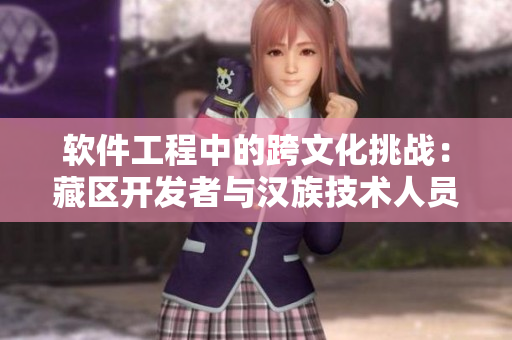 软件工程中的跨文化挑战：藏区开发者与汉族技术人员的合作模式