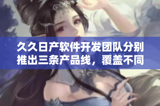 久久日产软件开发团队分别推出三条产品线，覆盖不同市场需求。