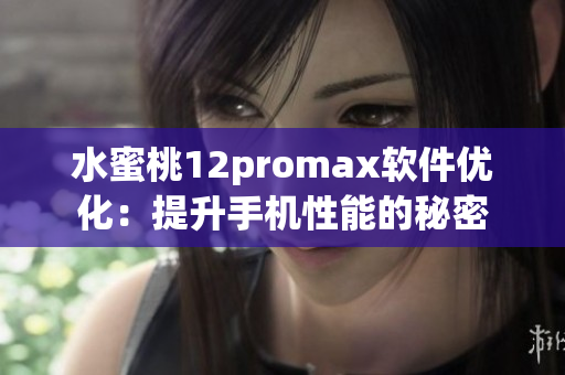 水蜜桃12promax软件优化：提升手机性能的秘密