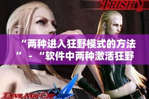 “两种进入狂野模式的方法” - “软件中两种激活狂野模式的技巧”