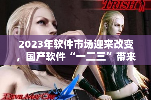 2023年软件市场迎来改变，国产软件“一二三”带来新潮流