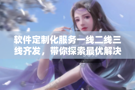 软件定制化服务一线二线三线齐发，带你探索最优解决方案