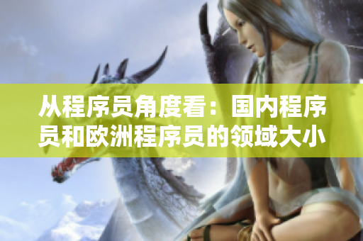 从程序员角度看：国内程序员和欧洲程序员的领域大小比较