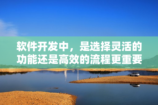 软件开发中，是选择灵活的功能还是高效的流程更重要？