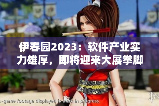 伊春园2023：软件产业实力雄厚，即将迎来大展拳脚的机遇