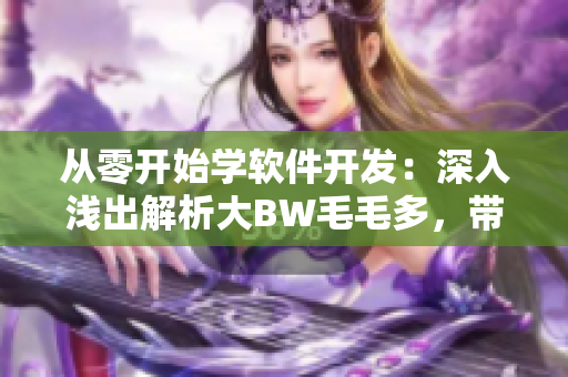 从零开始学软件开发：深入浅出解析大BW毛毛多，带你掌握软件开发技能