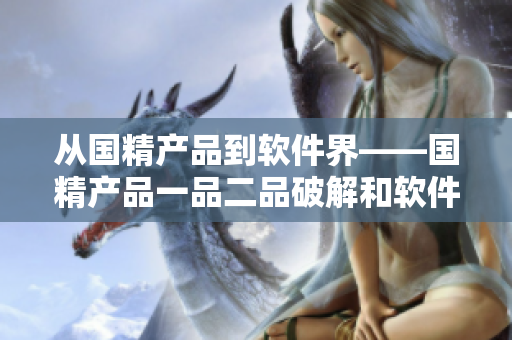 从国精产品到软件界——国精产品一品二品破解和软件逆向分析的相似之处