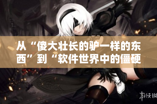 从“傻大壮长的驴一样的东西”到“软件世界中的僵硬而无用之物”